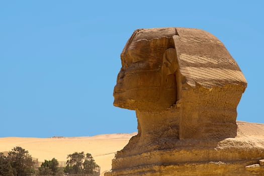 Portrait of the Sphinx in profile
