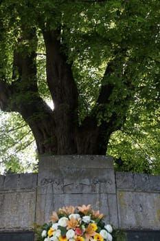 Monument to the fallen in Elbrinxen