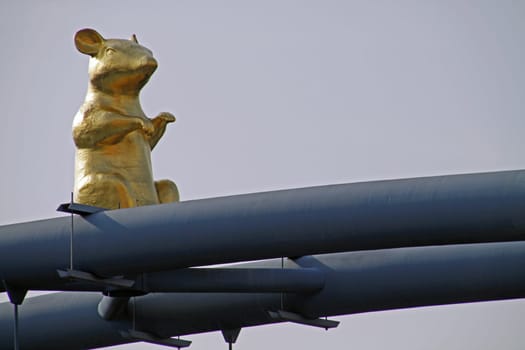 Golden Rat Bridge to Werder Hamelin