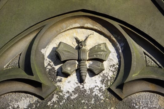 Butterfly on gravestone (Hamelin Cemetery)