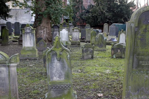 Jewish cemetery in Hamelin