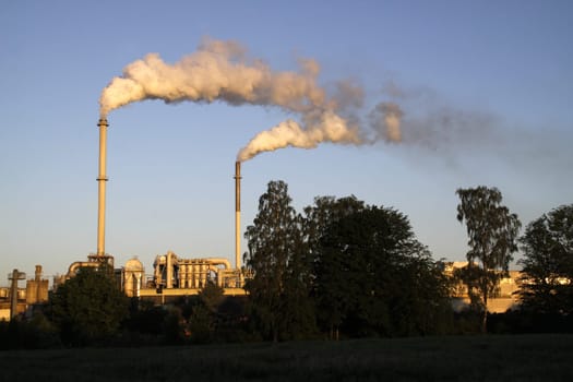 Hornitex chimneys in Horn