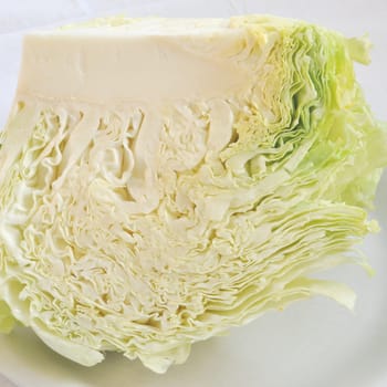 Cabbage leafy vegetable plant with edible leaves