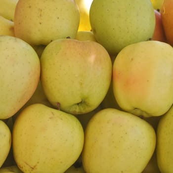 Apple fruit (Malus Domestica), green, yellow or red