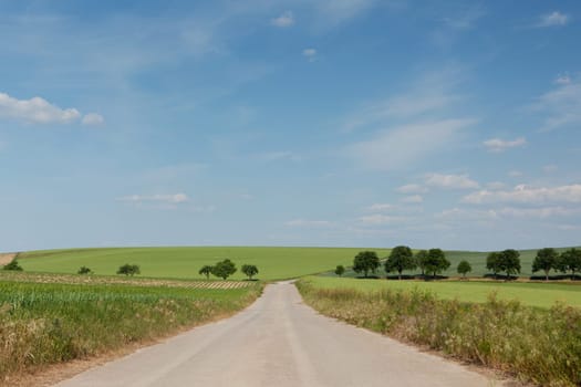 Country road in the distance,road with a perspective in nature