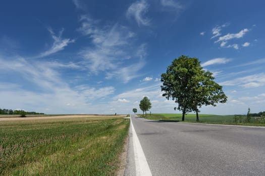 Country road in the distance,road with a perspective in nature