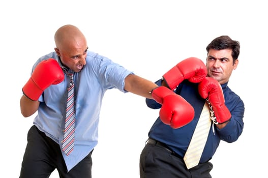Businessmen boxing isolated in white