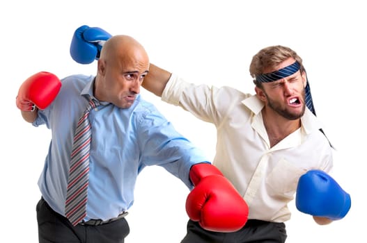 Businessmen boxing isolated in white