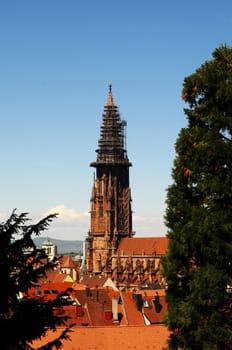 Freiburg Cathedral