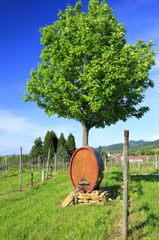 Wine barrel in the vineyards at the Kaiserstuhl,Baden-Württemberg,Germany