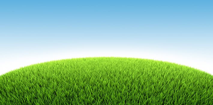 Field of fresh green grass, 3d render