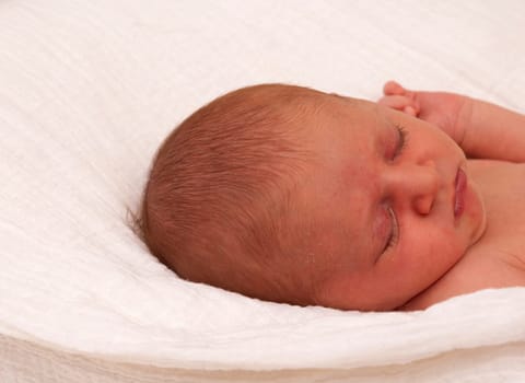 Baby Sleeping