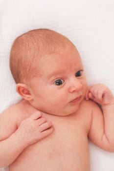 Portrait of One Month Old Baby