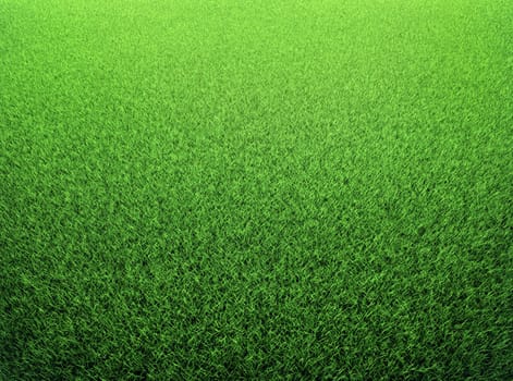 Grass background. Fresh green lawn. 3d render