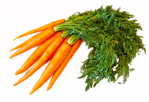 Fresh carrots isolated on white