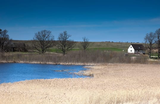 Owergrown lake with houses and field as background