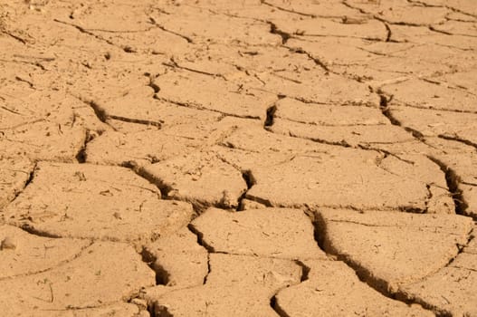 Cracked ground in the summer. Dry ground without water.