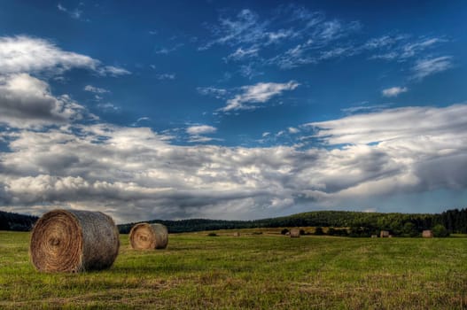 Shot of the landscape - hay-meadow