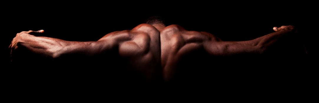 Beautiful and muscular black man's back in dark background