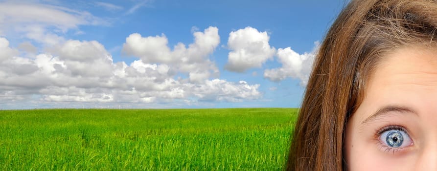 Beautiful green field with blue cloudy sky