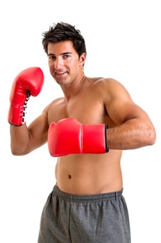 Muscular boxer isolated in white
