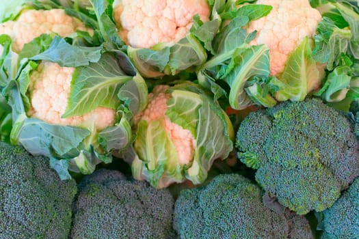 Broccoli and cauliflower ready for sale on the market