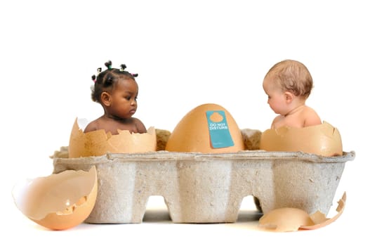 Beautiful babies inside eggs isolated in white