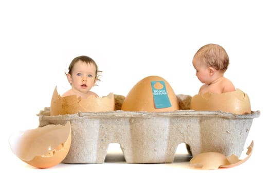Beautiful baby inside an egg isolated in white