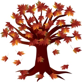 Autumn Maple Tree  in Fall Season Illustration Isolated on White Background
