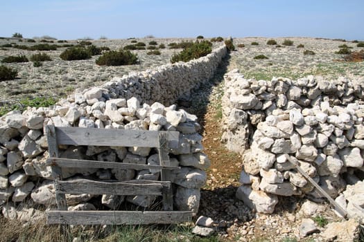 The stone walls on Pag