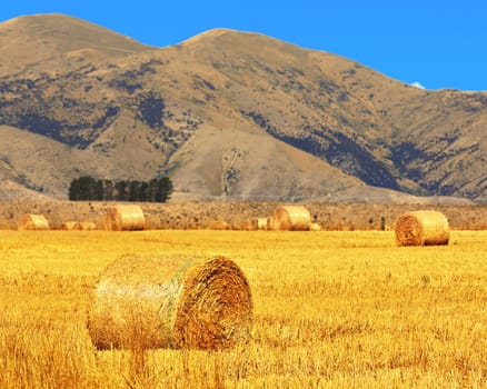 Rural lanscape. Golden Hay Bales on the foreground