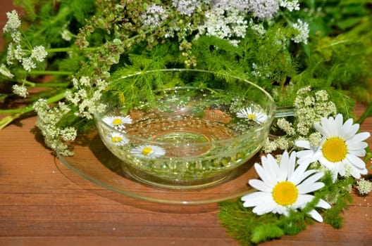 Herbs Relax Tea Wellness