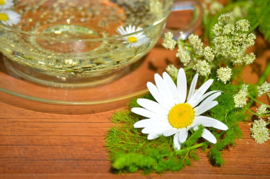 Herbs Relax Tea Wellness