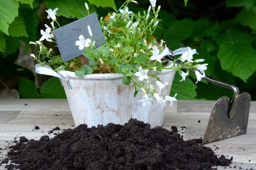 Plants Garden Potting Soil