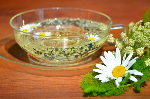 Herbs Relax Tea Wellness