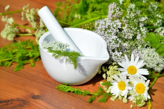 Herb Board Knife Mortar