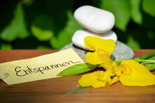 Wellness Spa Shield Stones
