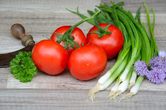 Tomatoes,Herbs,Chives,Kitchen