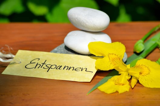 Wellness Spa Shield Stones