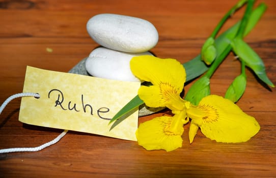 Wellness Spa Shield Stones