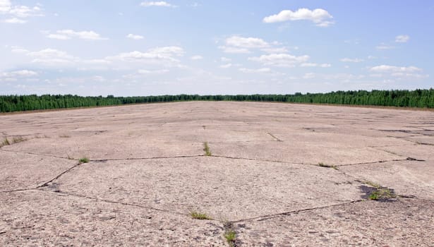 there is old airfield runway in the woods