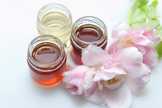 Italian Honey of different qualities on white background