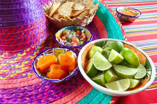Mexican sauces pico de gallo habanero chili sauce Mexico spices