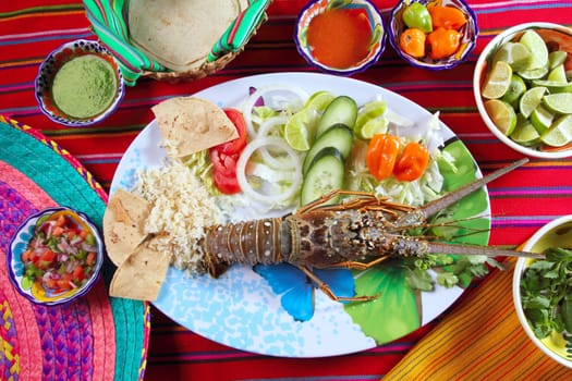 Lobster seafood Mexican style chili sauces tortilla food from Mexico