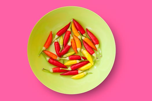 colorful chili peppers plate isolated on pink background