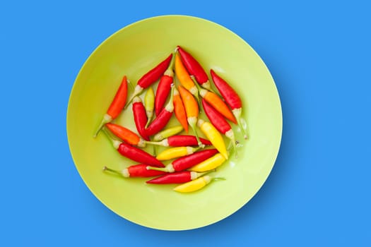 colorful chili peppers plate isolated on blue background