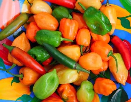 chili Habanero and Serrano hot mexican peppers colorful dish