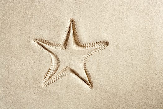 beach starfish print on white caribbean sand such a summer vacation symbol
