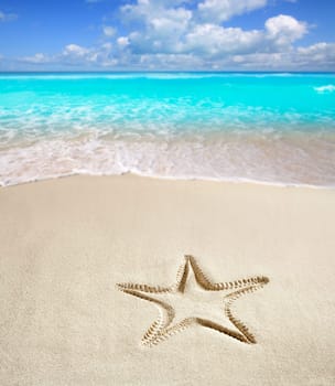 caribbean beach with starfish print on white sand such as a summer vacation symbol
