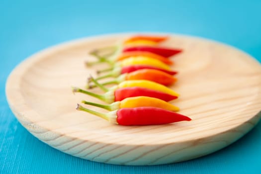 colorful hot chili peppers in a row on wooden plate